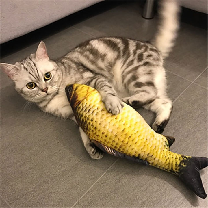 Đồ chơi Cá chép bông cho mèo