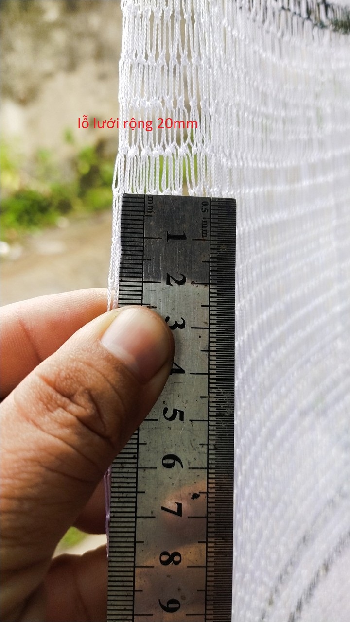 chai danh bat ca, chai nylon