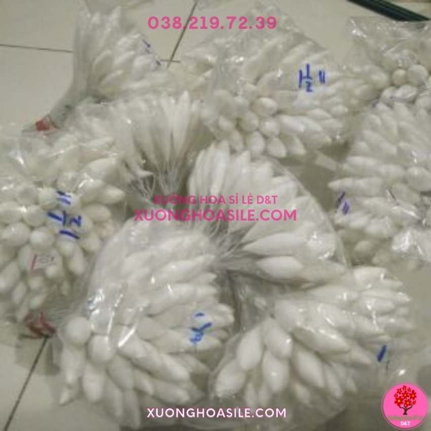 [HCM]NỤ GÒN DÀI