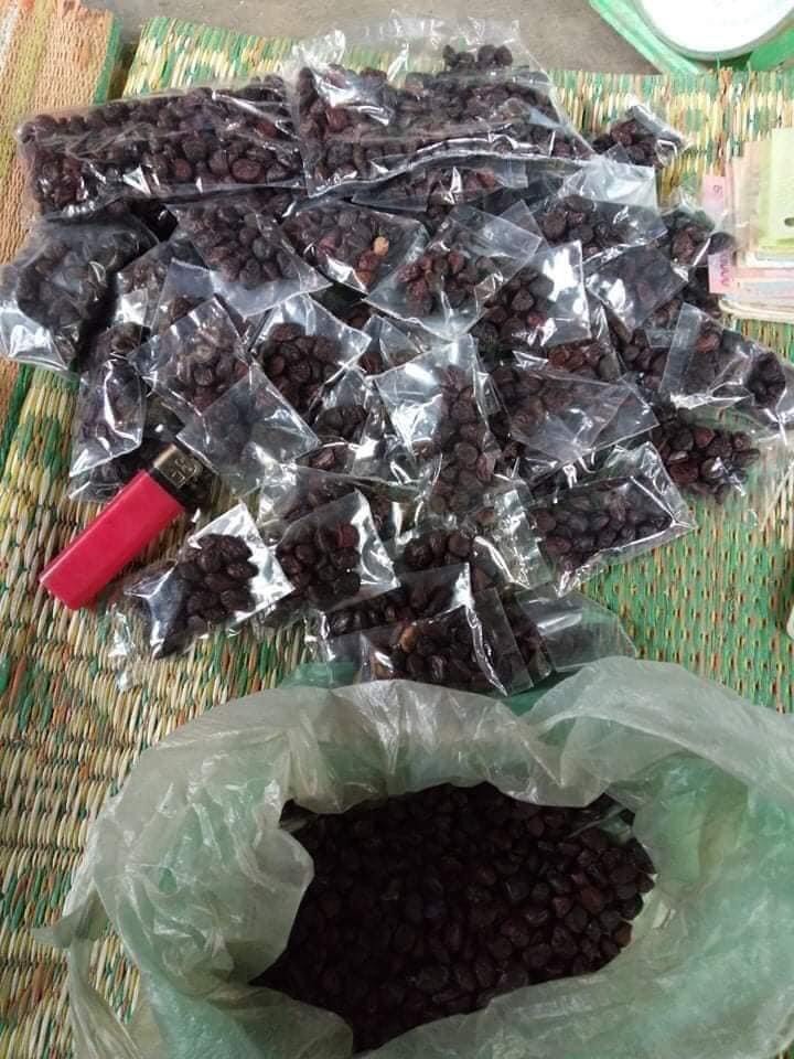 20 Hạt Dổi Rừng Đặc Sản Tây Bắc