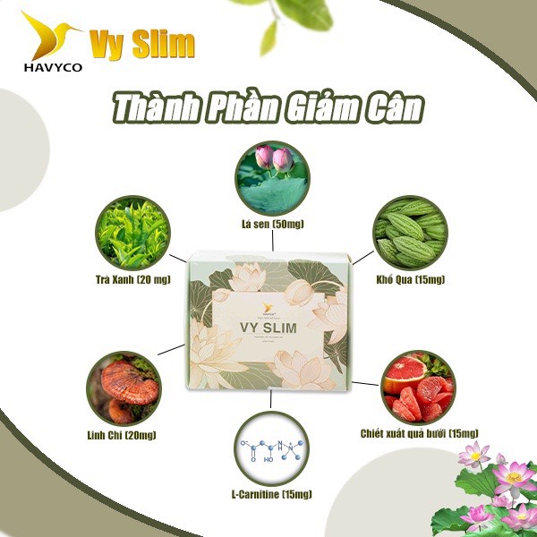 Trà thảo mộc giảm cân vy slim