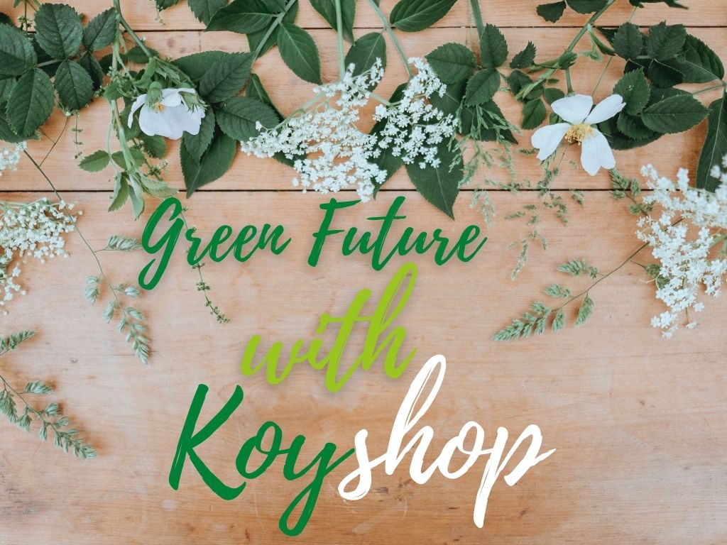 Bơm tay thay nước bể cá