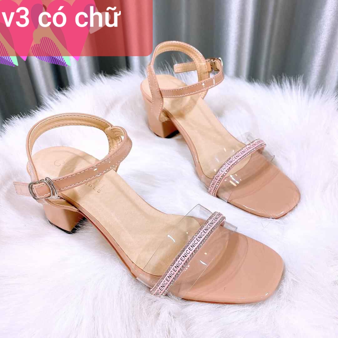 Giày cao gót nữ 5 phân size nhỏ 33 đến size lớn 44
