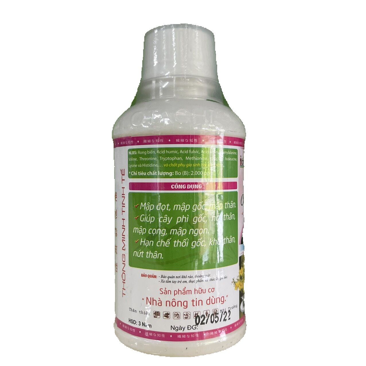 otachi múp mập thân cành 100 ml