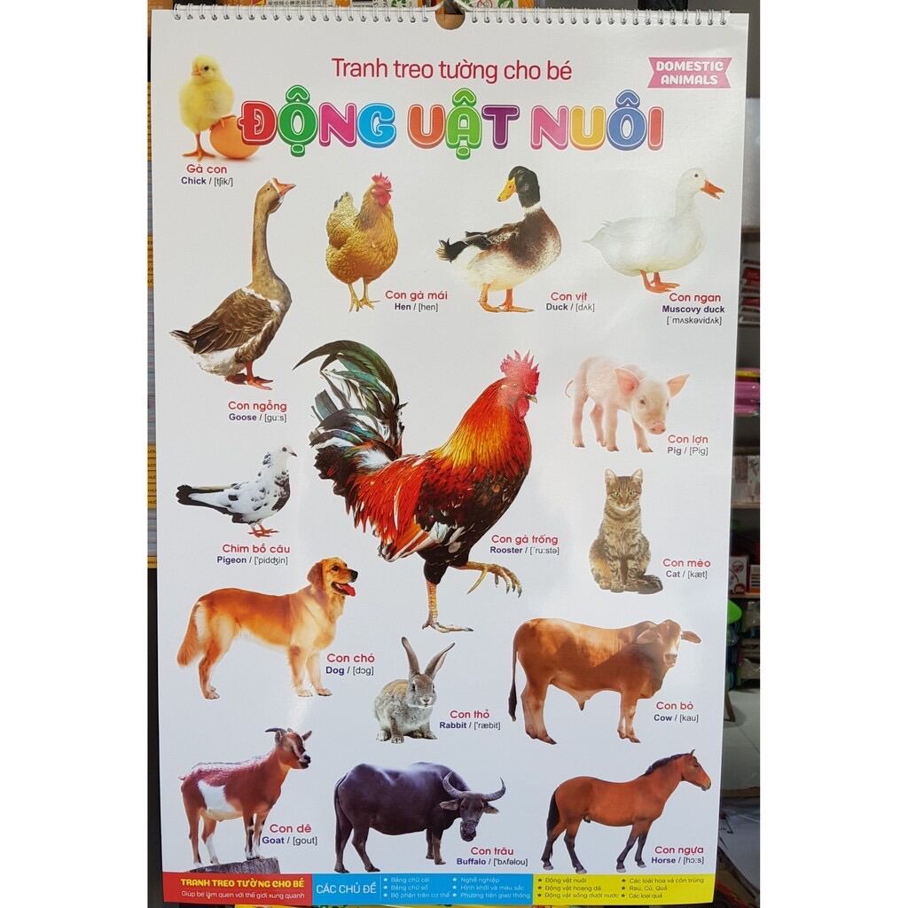 Tranh treo tường 14 chủ đề cho bé