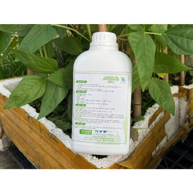 Dịch Phân Bón Hữu Cơ Eco Việt Nam. Dịch Trùn Quế..