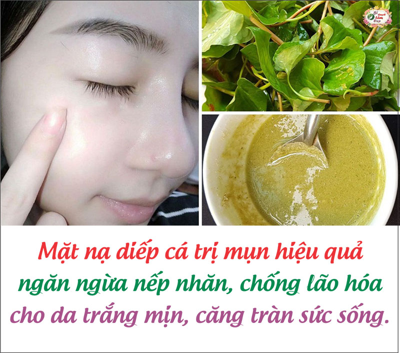 Bột Diếp Cá nguyên chất