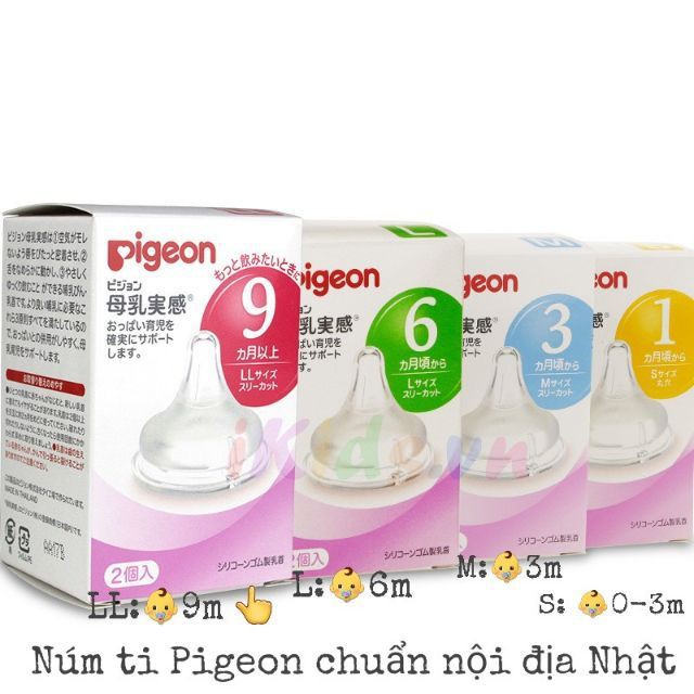 Núm pigeon nội địa Nhật -hộp 2 chiếc