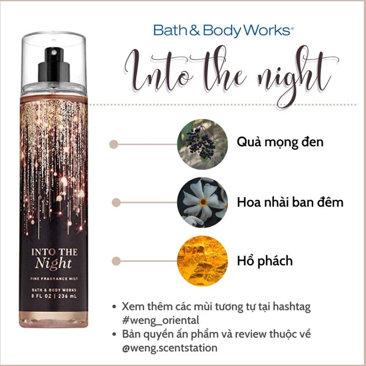 Xịt thơm body Bath and Body Works Into The Night 236ml