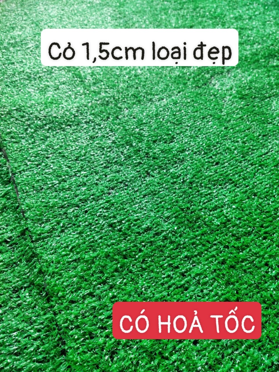 Thảm cỏ nhân tạo 1,5cm xanh tươi