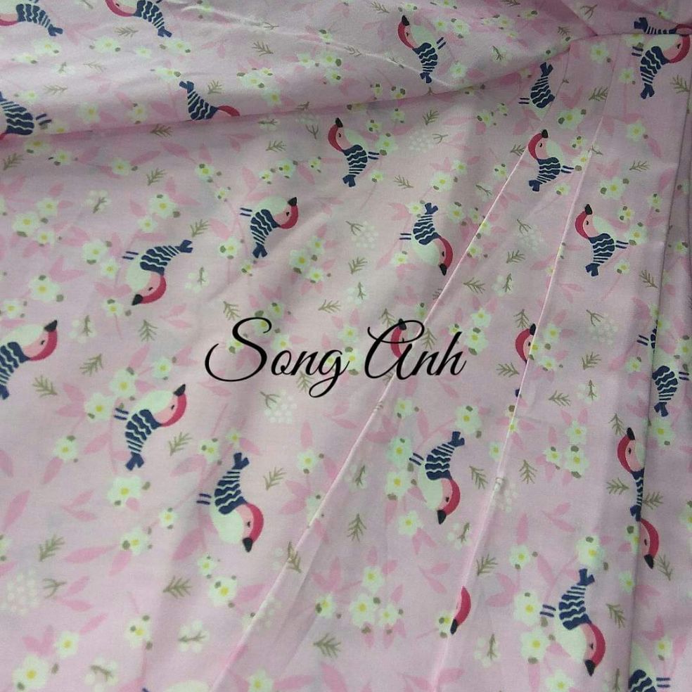 Vải thô kate mặt lụa cotton chim sẻ