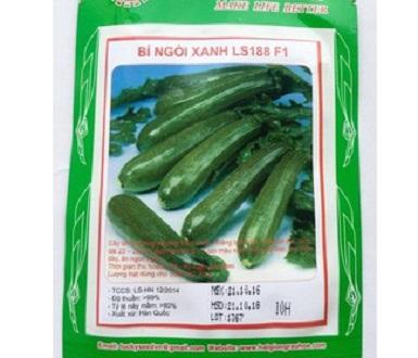 Hạt giống bí ngồi xanh 10 hạt/ gói
