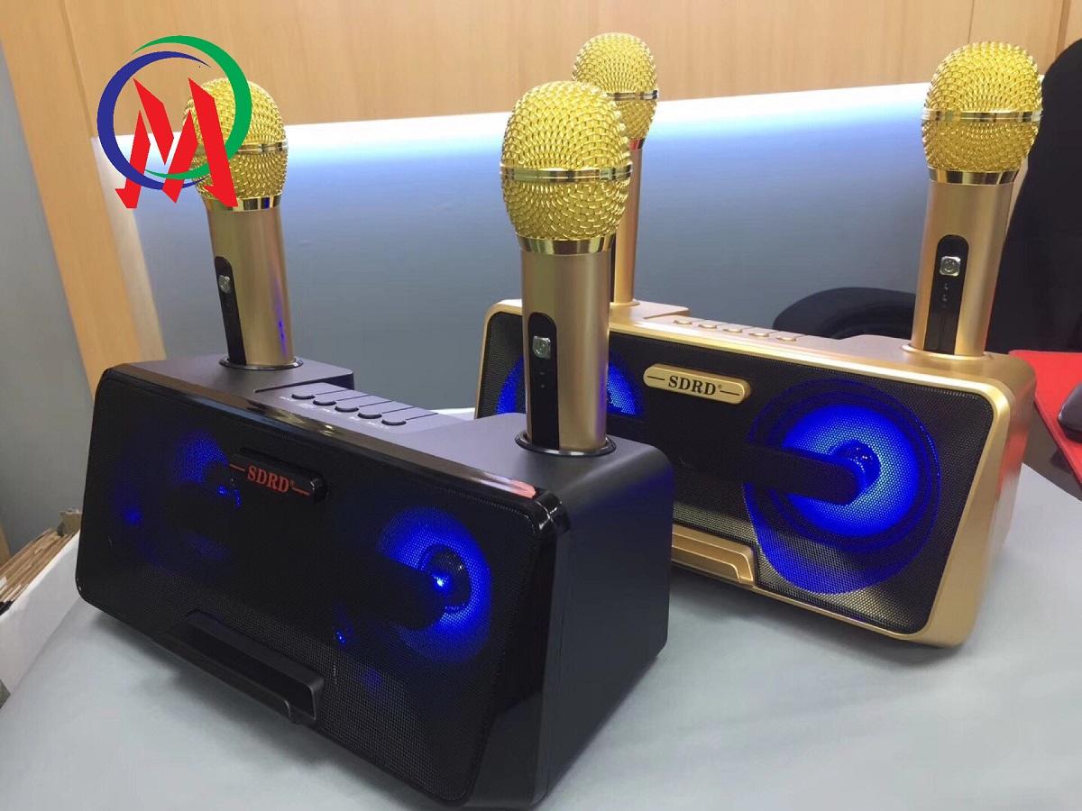 Loa karaoke sdrd sd-301 kèm 2 mic không dây
