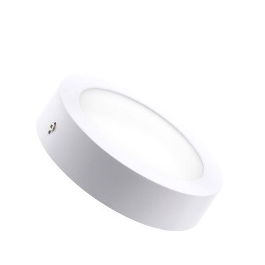 12W Round Led Ceiling Light