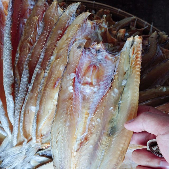 500g khô cá mối ngon rẻ