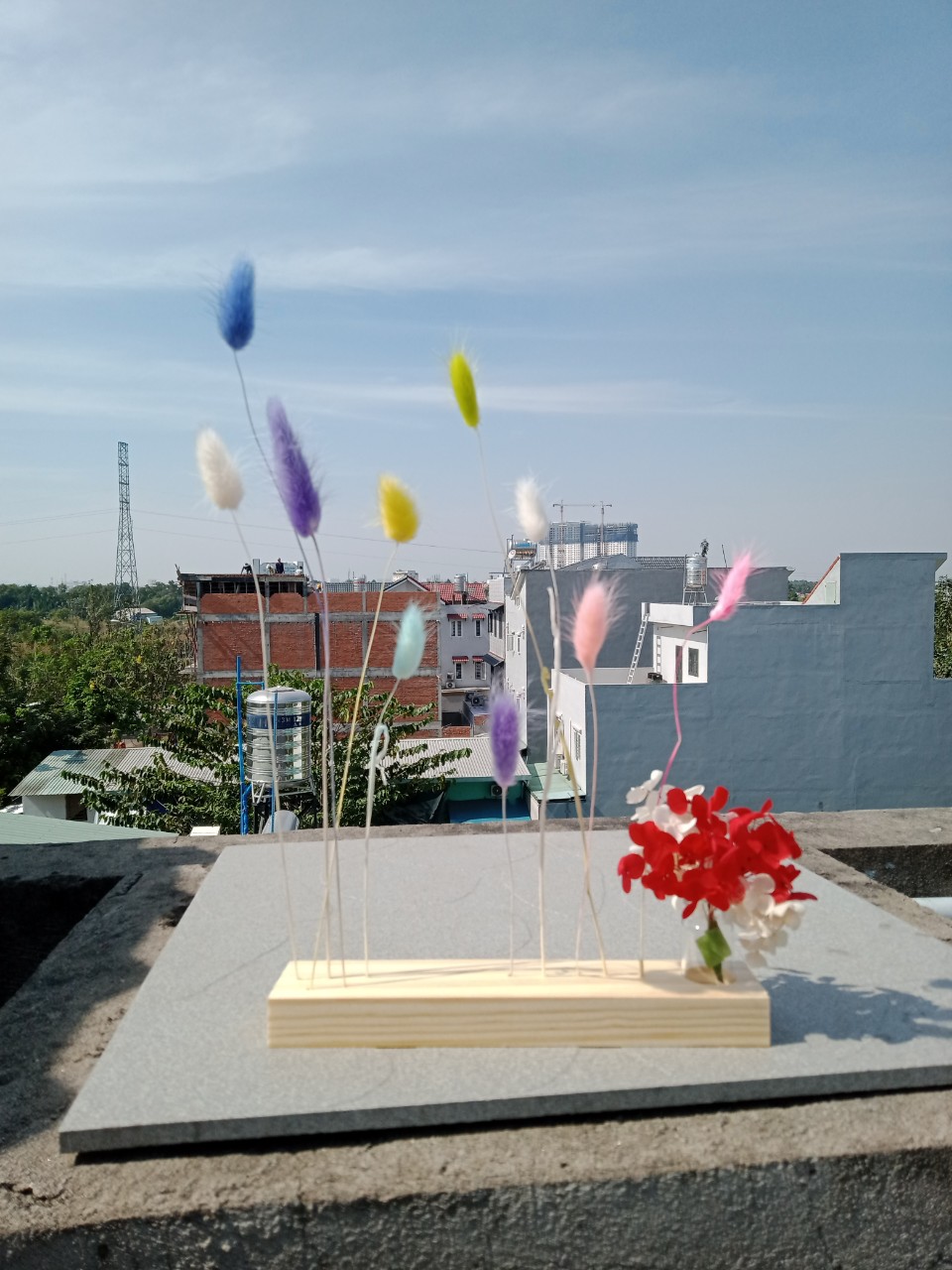 hoa khô - set hoa khô tươi tắn
