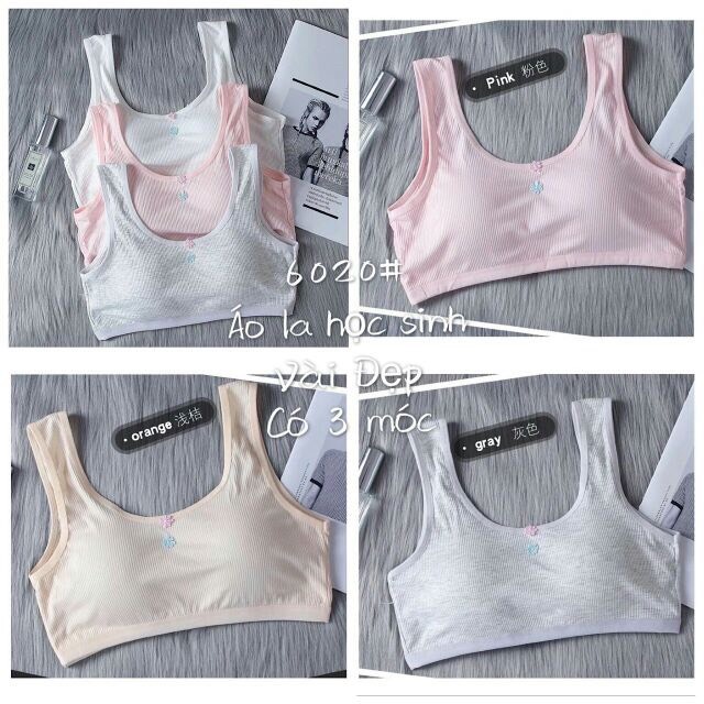 Underwear for Students with Back Closure 6020