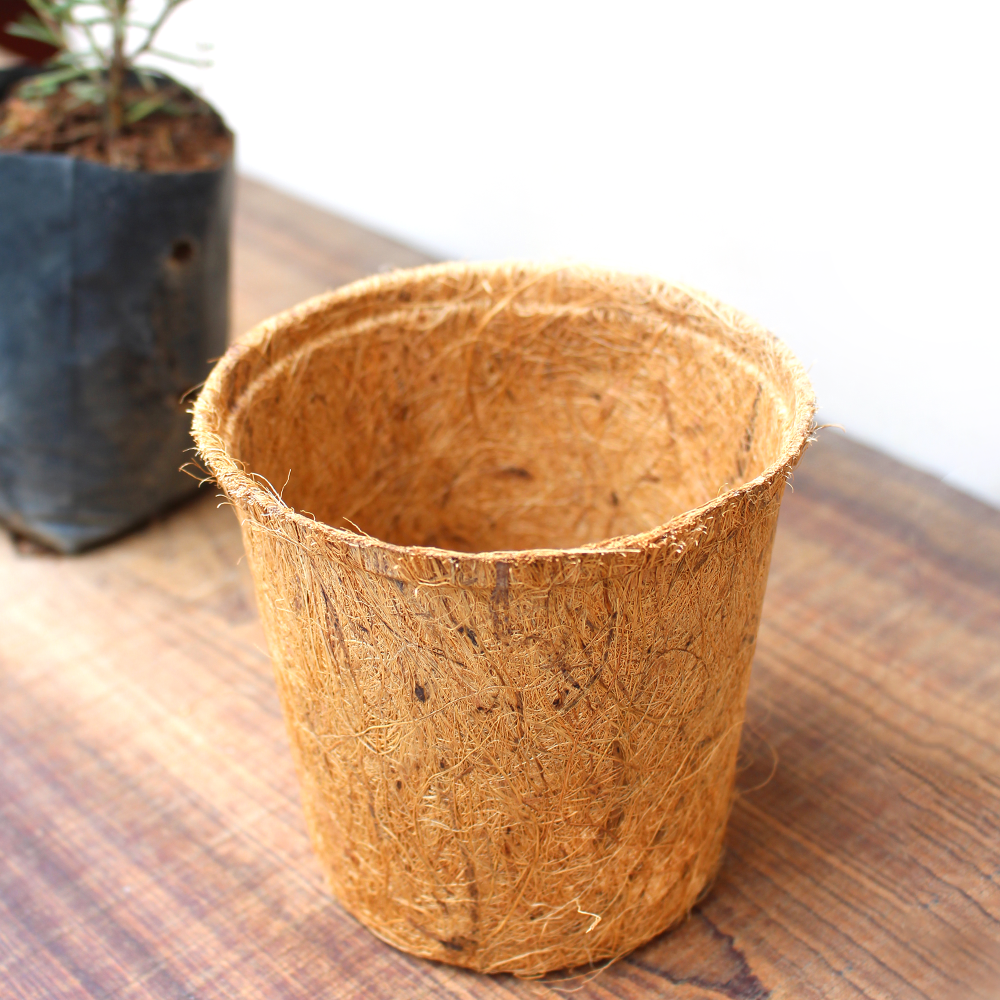 Chậu Xơ Dừa tự nhiên 12x11.3cm