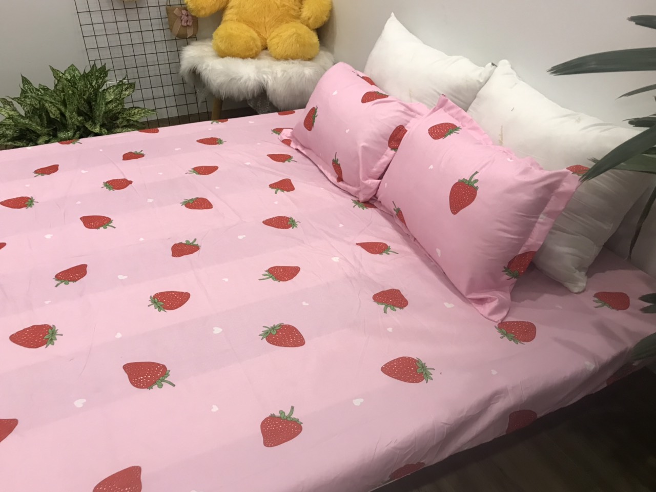 Set Ga Gối 3 Món (Gồm 1 Ga bo chun + 2 Vỏ Gối Nằm) SGG P9