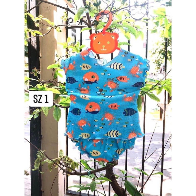[HCM]Đồ Bộ Cho Bé Gái (4-13Kg Ib Lựa Mẫu)