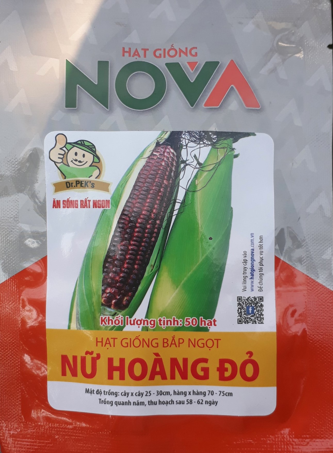 HAT GIỐNG BẮP TÍM NỮ HOÀNG