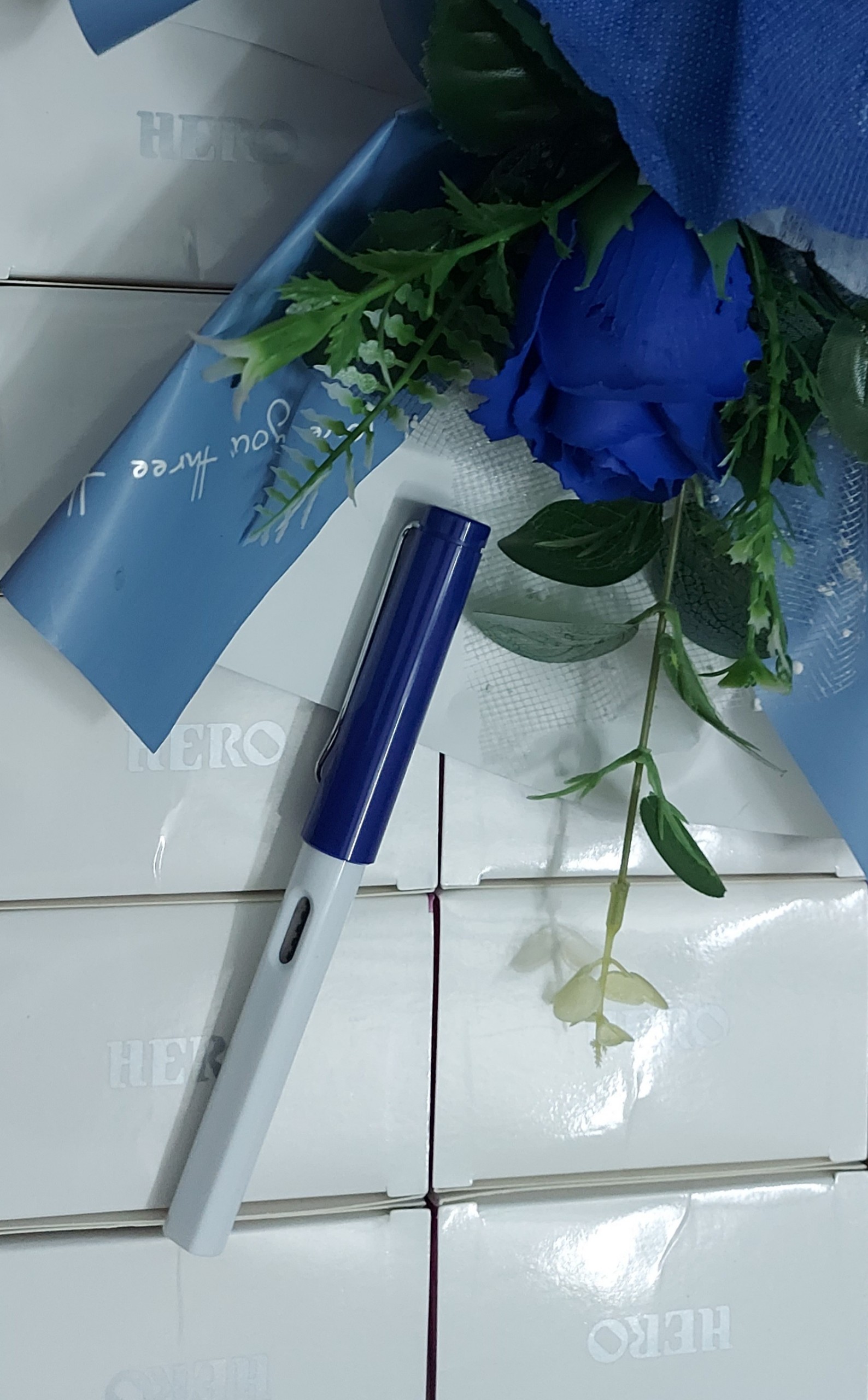 Bút Luyện Chữ T08 Bút Máy Sài Gòn