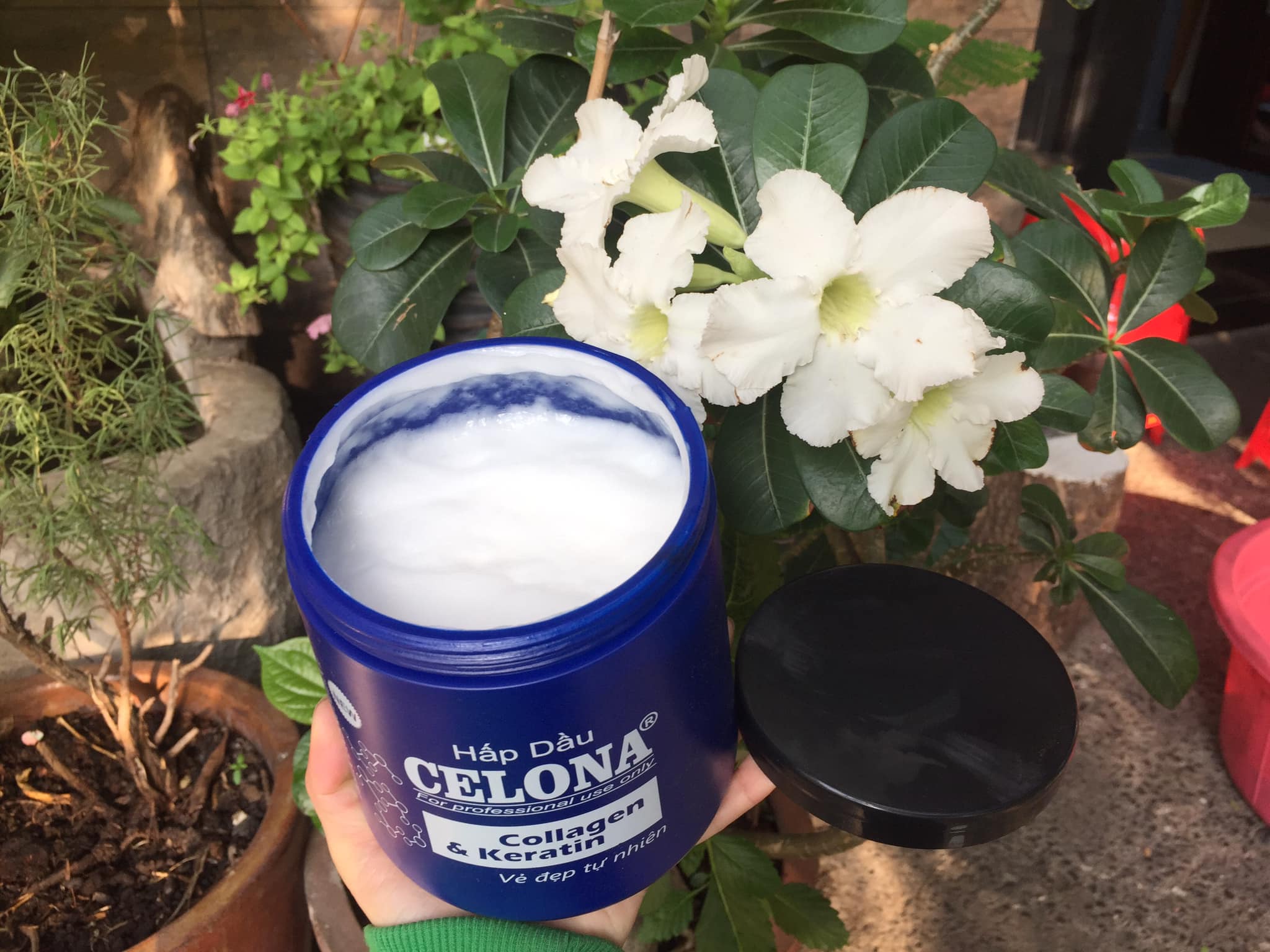Hấp dầu CEOLONA Collagen & Karetin 1000 ml
