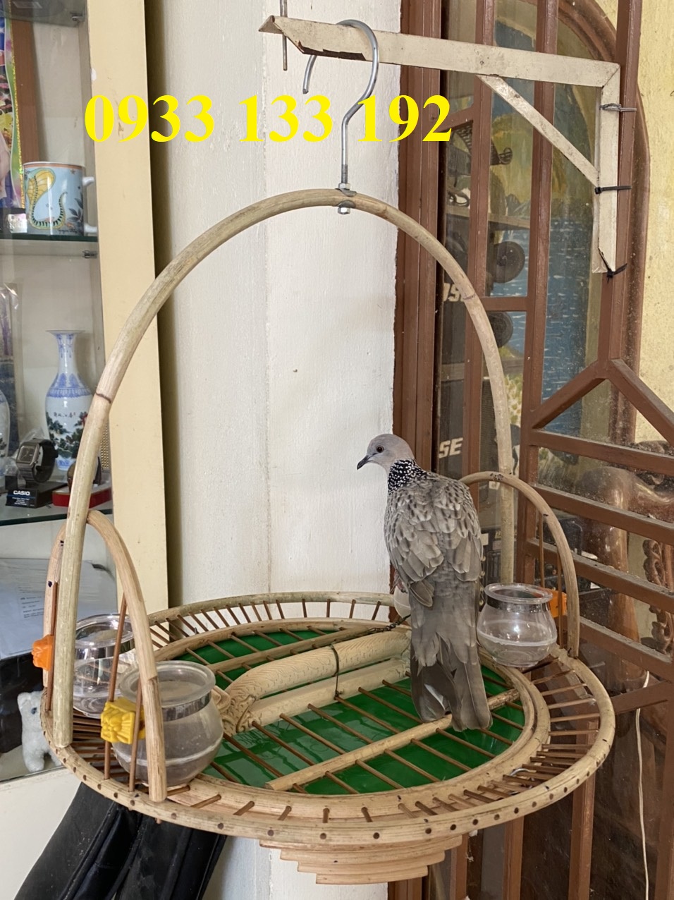 LỒNG TRẦN CU GÁY