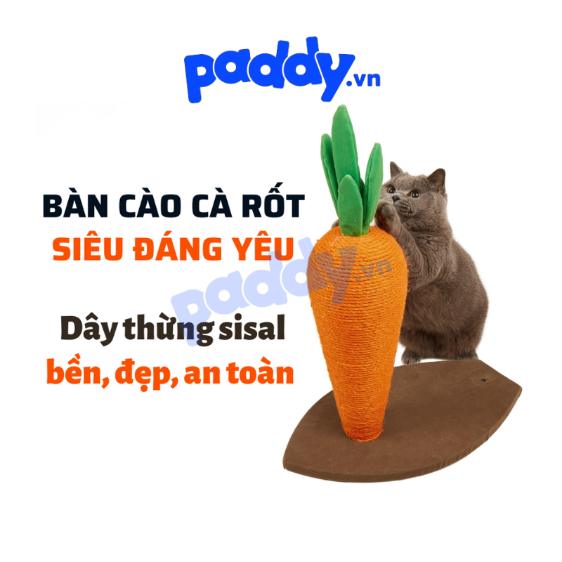 Bàn cào móng mèo fofos hình trụ cà rốt