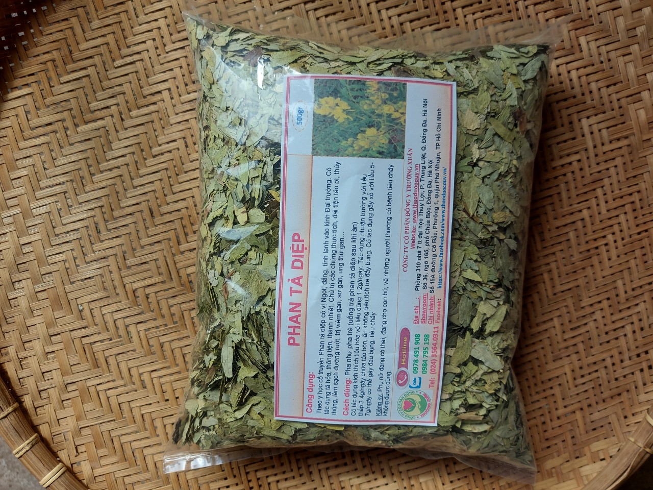 PHAN TẢ DIỆP
