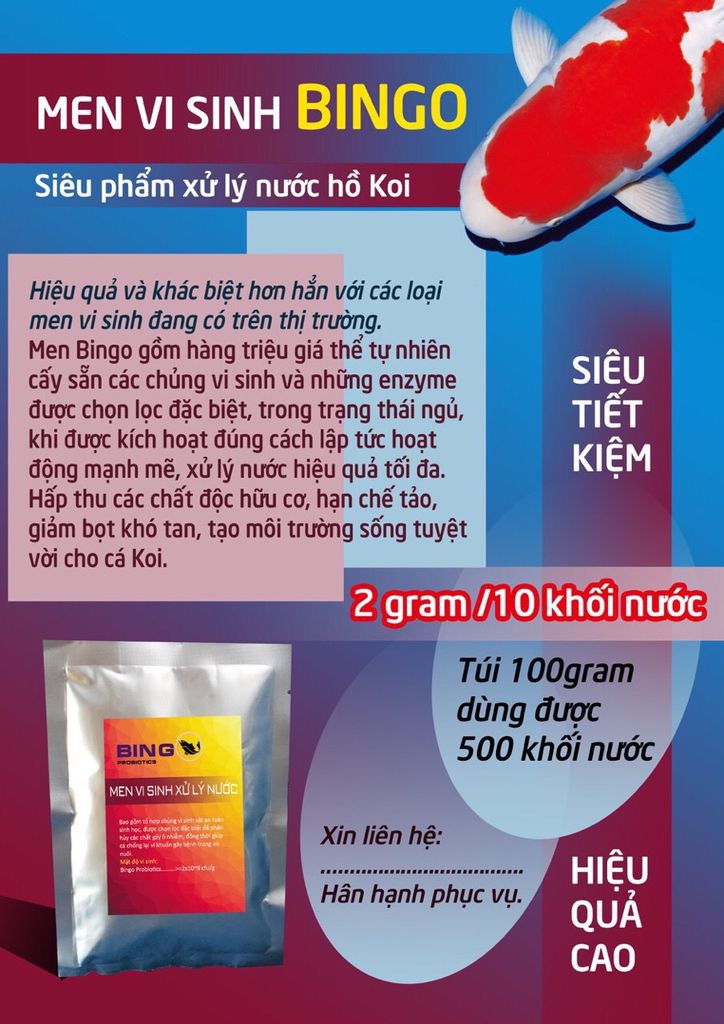 [HCM]Men vi sinh xử lý nước Bingo - túi 100gr