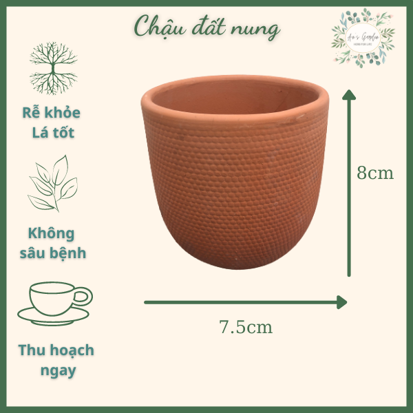 Chậu gốm đất nung nhỏ, kích thước 8x7.5 (cm)