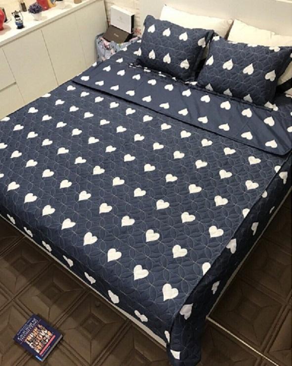 Set 5 món chăn hè - Ga chun - Áo Gối - Đủ Size (RVT)