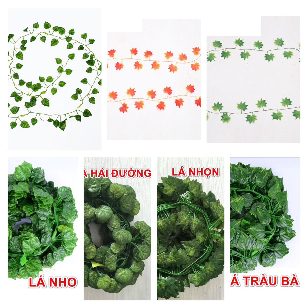 Combo 12 dây lá nho cuốn xanh chiều dài 2.1m 80 lá