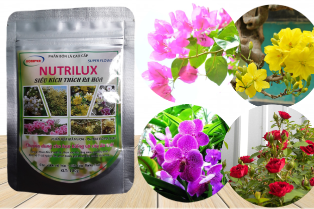 [HCM]Phân bón Nutrilux kích ra hoa giấy ra hoa bổ sung dinh dưỡng cho cây gói 100g
