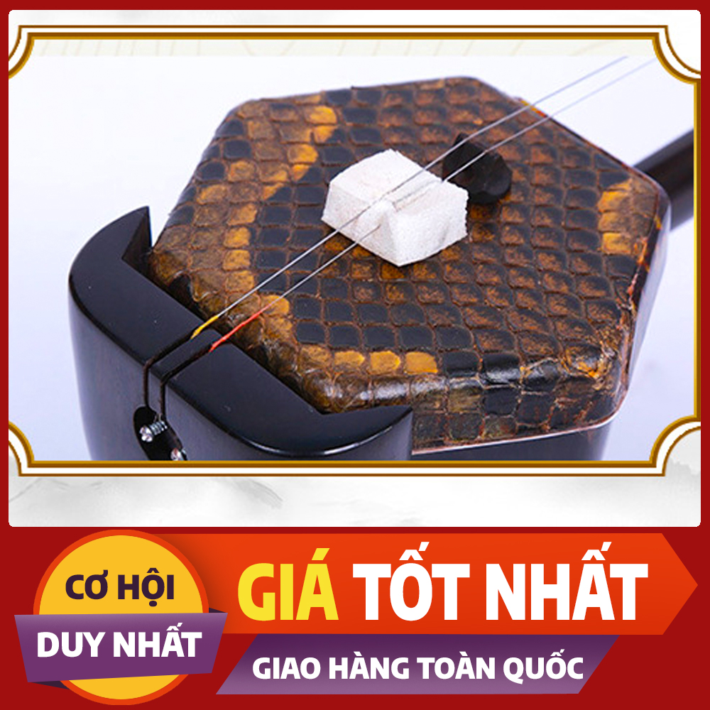 Đàn nhị đầu rồng gỗ mun