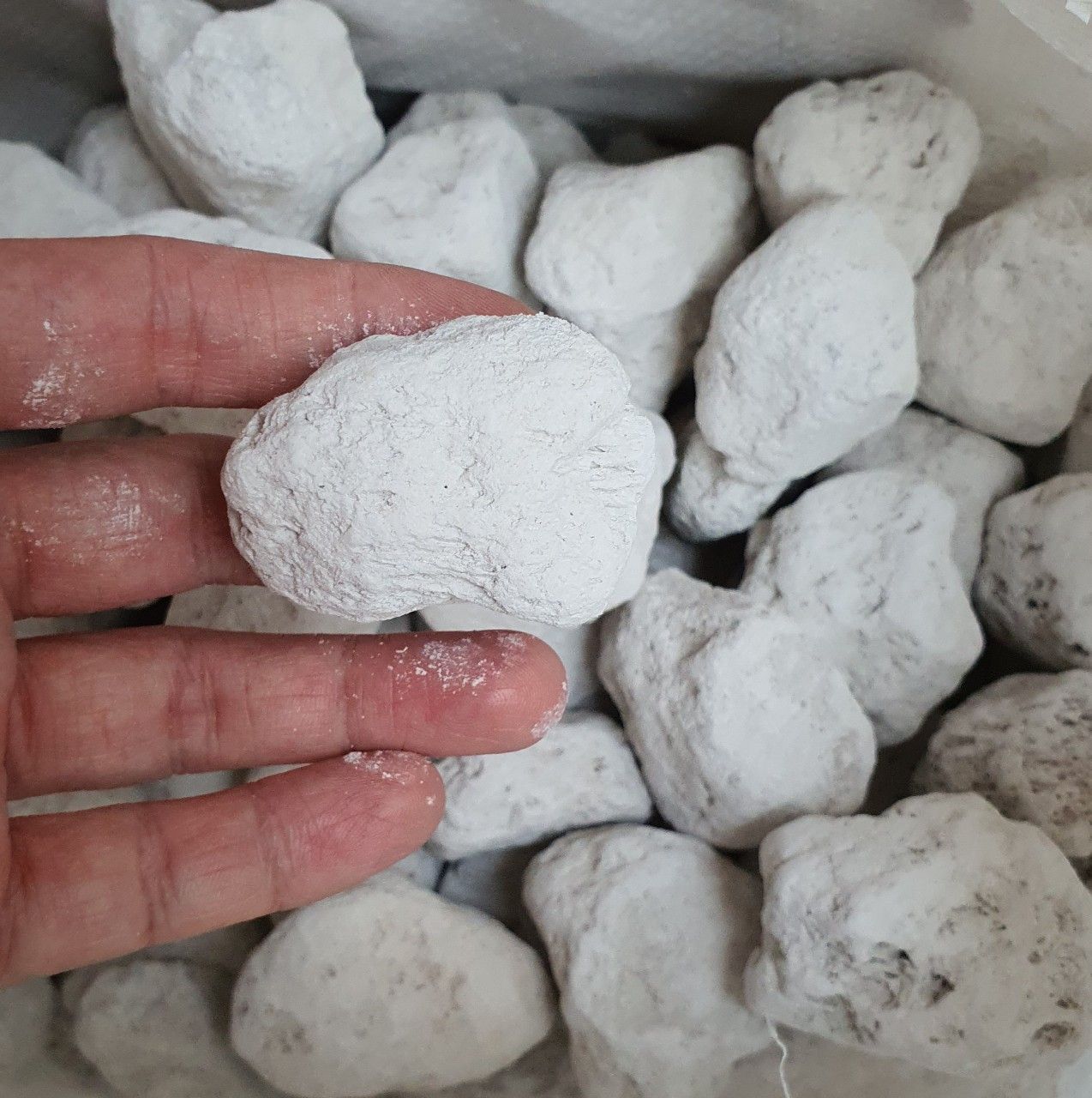 ĐÁ LÔNG VŨ | NHAM THẠCH TRẮNG LỌC NƯỚC CHO BỂ CÁ  - 1KG
