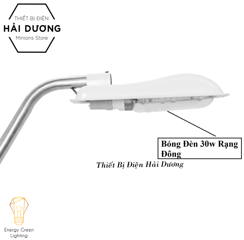 Bộ Chao và Cần đèn Roman + Bóng led D CSD5L Rạng Đông 30w (Trắng)