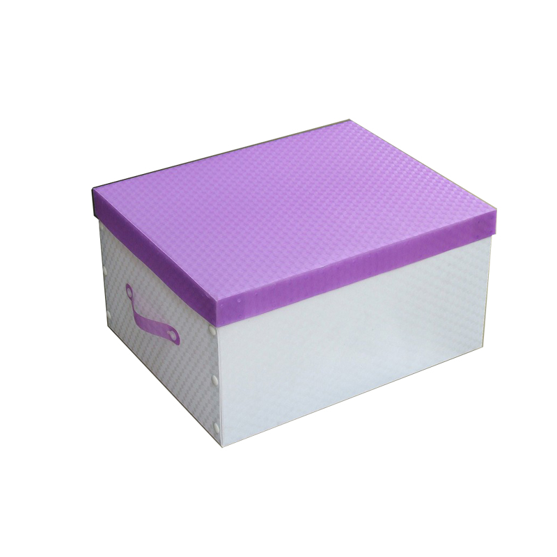 [HCM]Hộp đựng hồ sơ