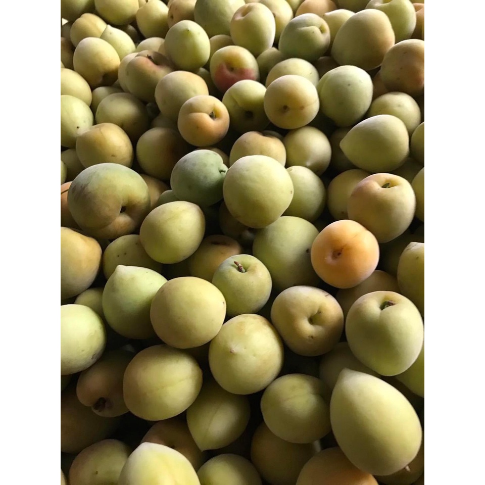 [FREESHIPMAX] Mơ Muối Lâu Năm - Mơ muối mặn Thực Dưỡng