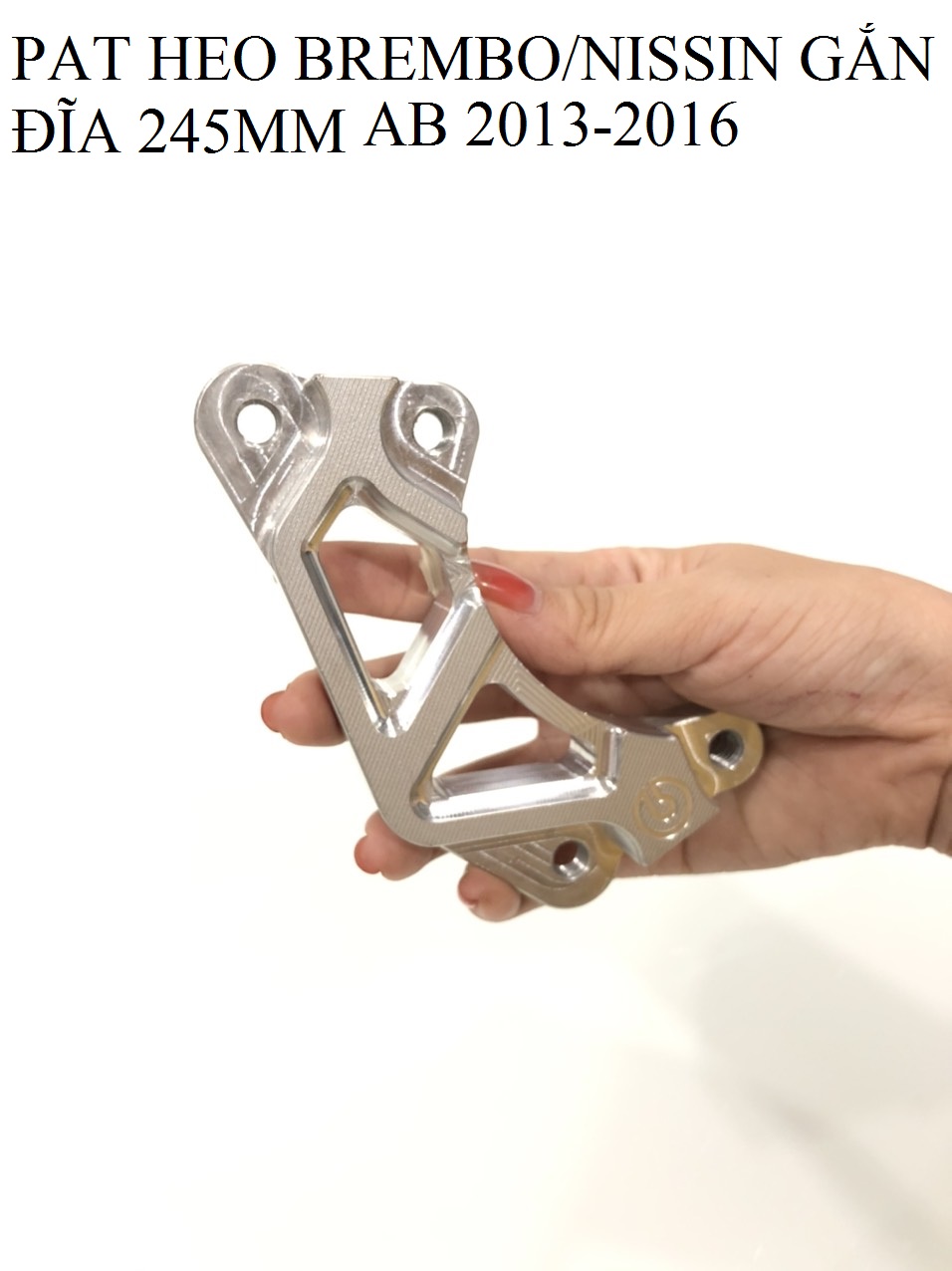 [HCM]PAT HEO BREMBO/NISSIN GẮN ĐĨA 245mm AB 2013-2016