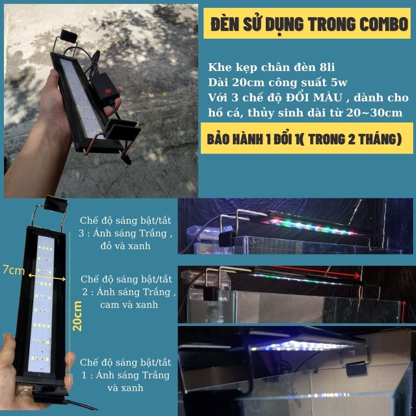 Bể cá mini để bàn COMBO ĐẦY ĐỦ Hồ Lọc Đèn kèm phụ kiện
