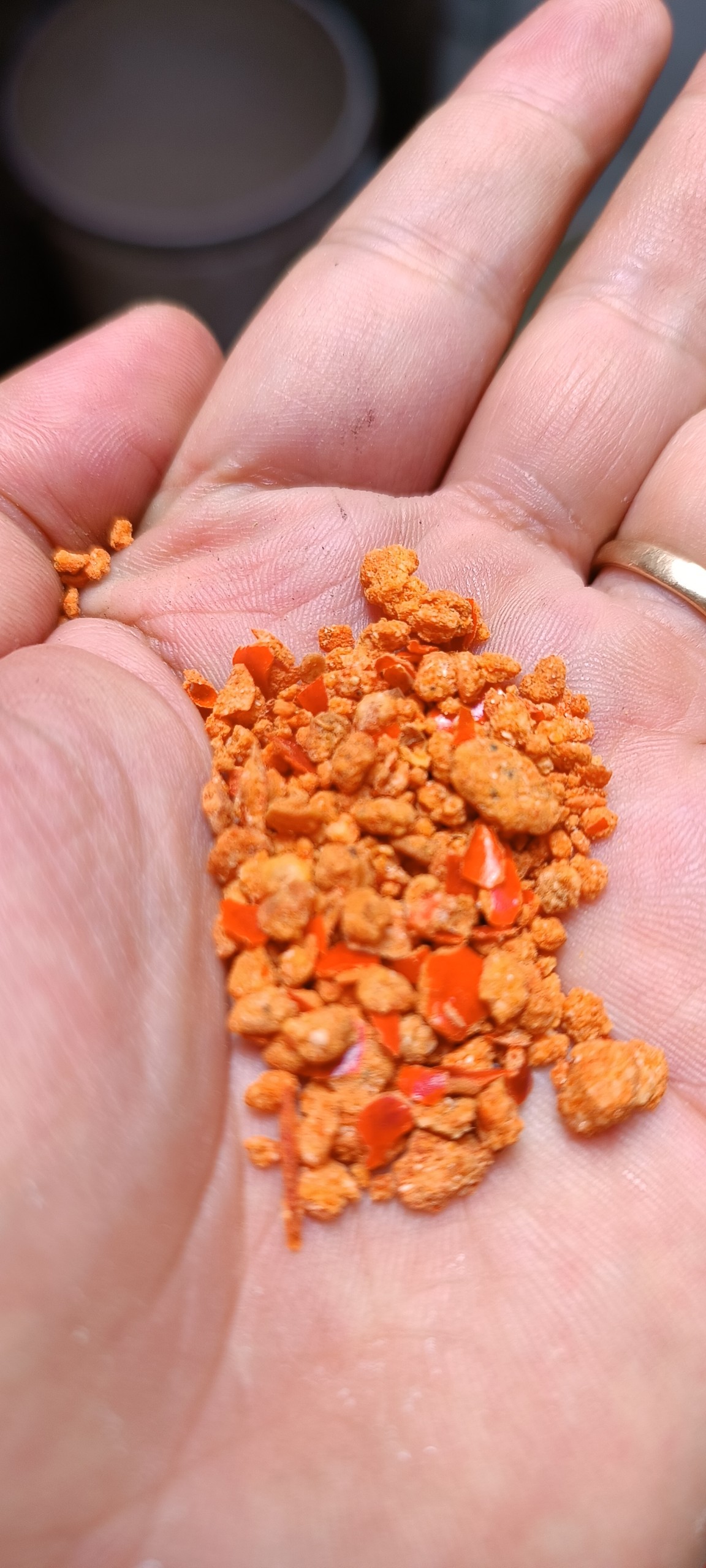 100gr muối tôm tây ninh Long Lao đặc biệt