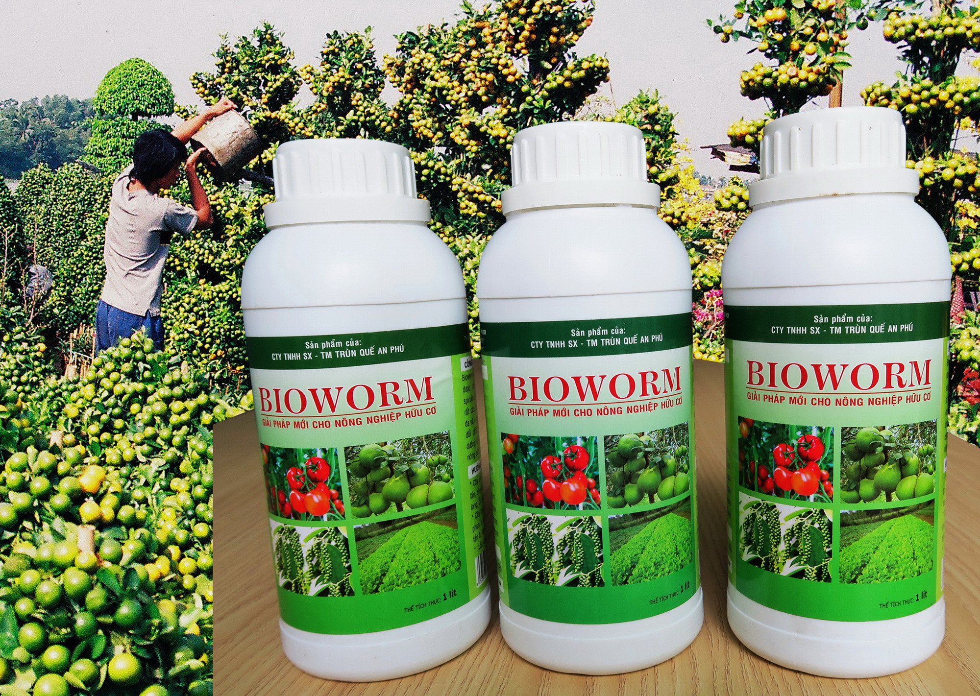 Dịch trùn quế bón cây chai 500ml