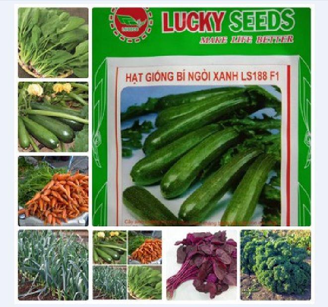 COMBO 7 loại hạt giống rau dễ trồng 4 màu (TẶNG gói kích thích hỗ trợ hạt nảy mầm)