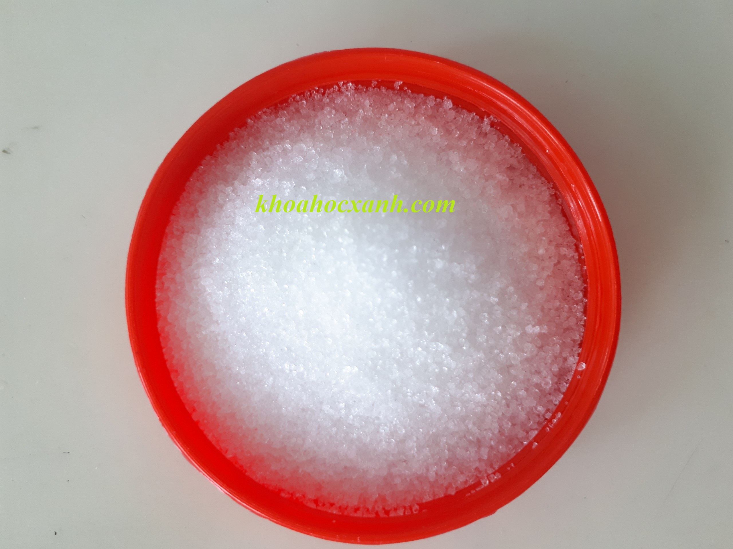Bronopol : Đặc trị vi nấm, diệt khuẩn