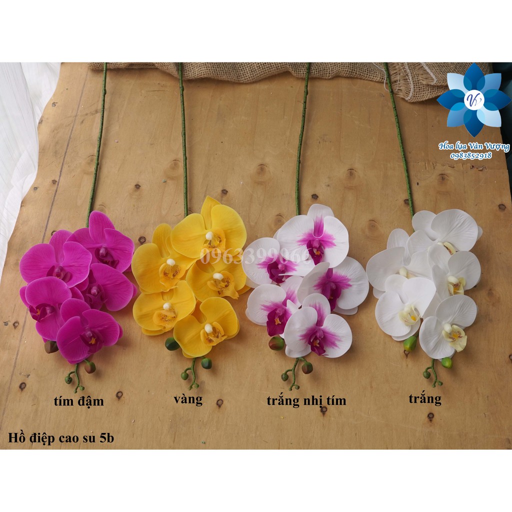Hoa Lụa 🌺FREESHIP🌺 Lan Hồ Điệp Cao Su 5 Bông