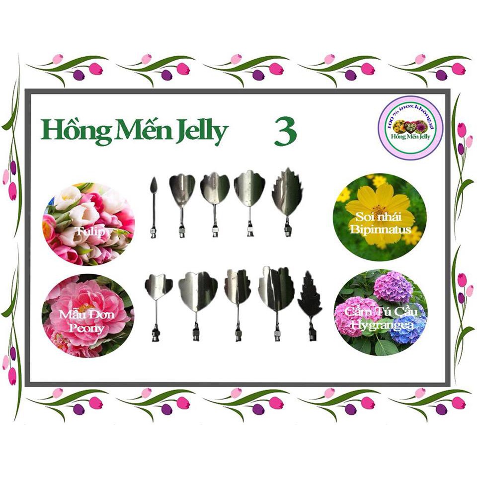 Kim làm thạch rau câu 3d hoa tulip, sao nhái, mẫu đơn, cẩm tú cầu
