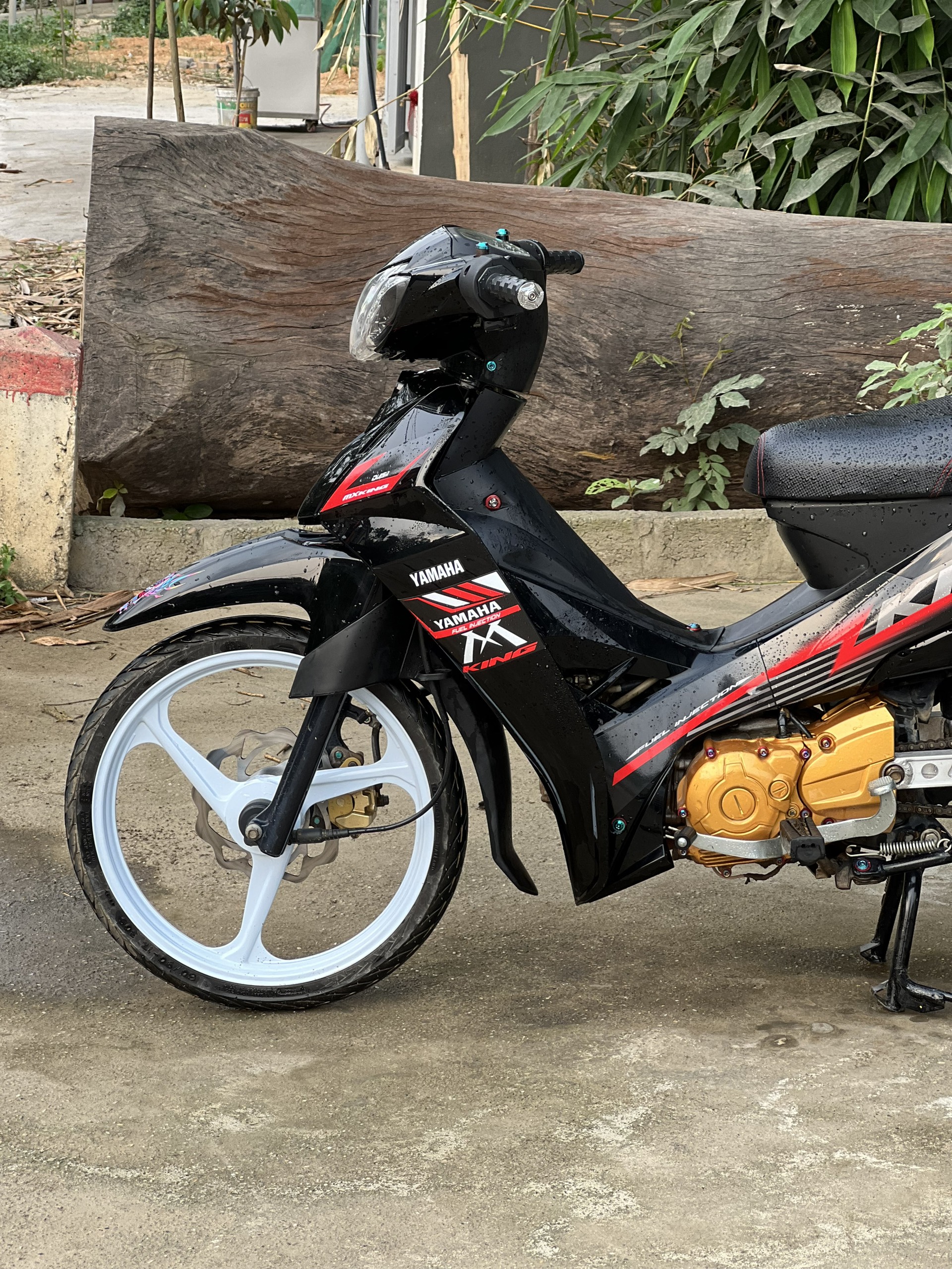 Tem rời sirius mẫu Mxking