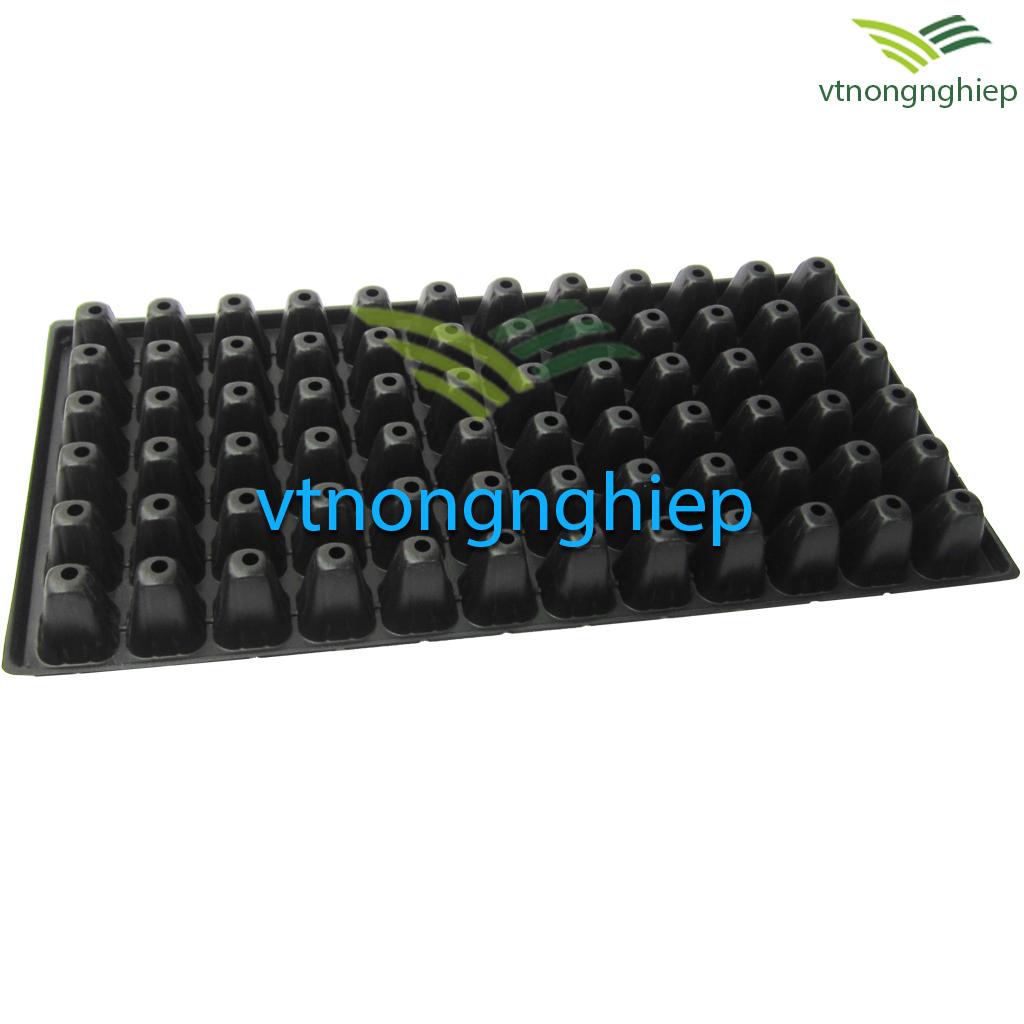 5 khay ươm hạt 72 lỗ